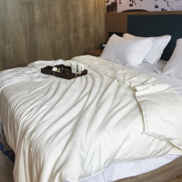 俏庭 典雅蚕丝被(计价单位:条)