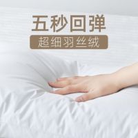 普通枕头 含枕套 白色