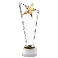 水晶奖杯 TA0435 公司优秀员工奖品金属水晶创意奖牌酸洗刀片五角星(单位:个)