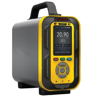 NGPG 手提式复合气体检测仪 NGP40-90特殊型