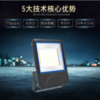 TG747-100 LED泛光灯 100W