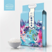 袁隆平大米 盘锦大米 辽河基地 5kg 袋