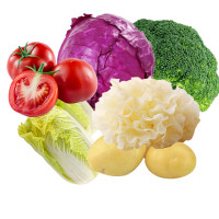 新鲜蔬菜礼盒 （单位：箱）