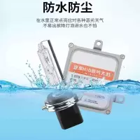 运腾 疝气灯泡