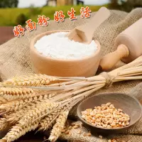 [江苏乡村振兴][财政集采][丰县]苏米丰 超级面粉(包点专用)(25kg/袋)4份起发
