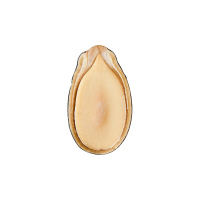 西瓜子218g+香瓜子268g