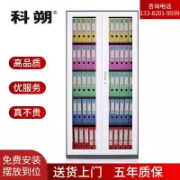 科朔 文件柜通波文件柜钢柜钢制办公室资料柜储物柜KS-G005