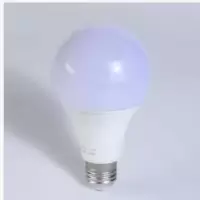 雷烁 恒流焕彩球泡 5W