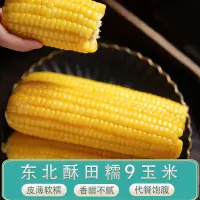 酥田(SUTIAN) 东北玉米新鲜黄糯9号玉米15支现摘真空甜黏粘玉米15棒早餐