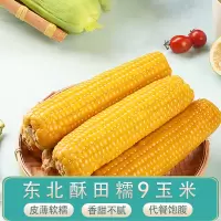 酥田(SUTIAN) 东北黄糯9号玉米新鲜糯玉米15棒现摘真空甜黏粘玉米15棒早餐
