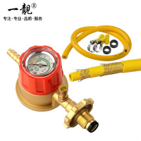 一靓家用液化气防爆减压阀煤气瓶罐低压阀煤气阀门稳压阀带表 防爆减压阀+5层双钢丝煤气管1.5米