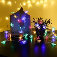 aurora LED灯珠 长10m 雪花造型