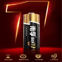 南孚 NF1355 5号电池