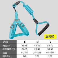 YP-牛津布胸背带牵引绳S号-蓝色