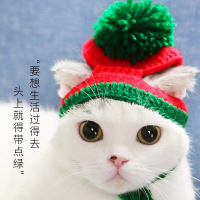 猫咪圣诞风头套猫咪头套头饰搞笑头饰猫咪可爱搞笑帽子宠物用品