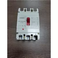 ZDET 小型断路器 塑壳断路器ETM1-250/4310(台)