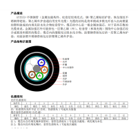 亨通光电(HTGD) 光缆GYTS53-24芯 (按百米计价)