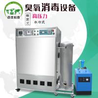 百丰科技 臭氧发生器 BF-LS-200g