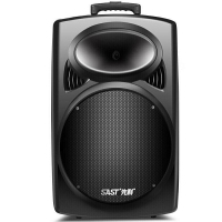 先科 大功率重低音音响