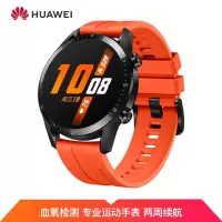 HUAWEI WATCH GT 2 LTN-B19(橙色氟橡胶表带) 赤霞橙