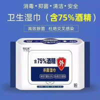 安亿琪 60片/包 75%酒精抽取式消毒湿纸巾 白色 10包/组