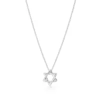 TIFFANY&CO.蒂芙尼 ELSA PERETTI系列:Tiffany时尚六芒星吊坠银项链