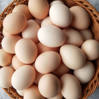 食品套餐(牛奶+鸡蛋+黄油蛋糕)