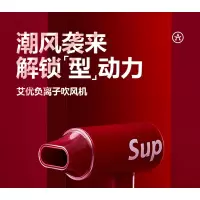 荷兰艾优SUP吹风机