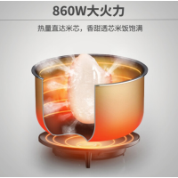 九阳 JOYOUNG 40FZ810 4L 电饭煲 黑色