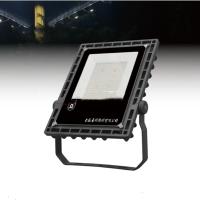 户外防水LED投光灯50W (JT)
