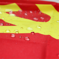 飞狮3#党旗印刷旗帜