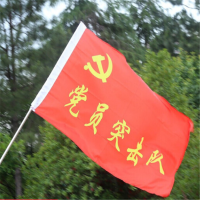 飞狮3#党员突击队旗印刷旗帜