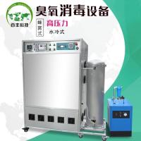 百丰科技 臭氧发生器 BF-LS-100g