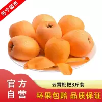 【顺丰直发】福建云霄枇杷3斤装 果园新鲜水果 甘甜多汁
