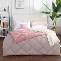 金丝莉(kintheri) JB-1112 羽绒太极被 2600G 70%太极石共混聚酯纤维+30%羽 2*2.3m