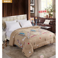 佳丝梦 (JIASIMENG) 西域风情蚕丝被 单个装