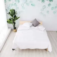 金丝莉(kintheri) JB-1082 新雅致蚕丝被 1000G 蚕丝 2*2.3m