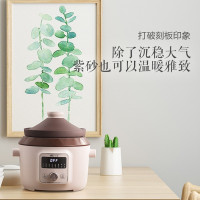 小熊(bear)(WB)DDG-D40F1电炖盅.