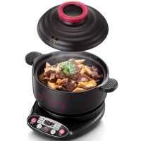 小熊(bear)(WB)电炖锅 陶瓷电砂锅煲汤锅焖锅全自动家用煮粥炖汤锅DSG-A30R5 2L+3L