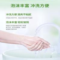必洁 500g 洗手液 芦荟抑菌洗手液