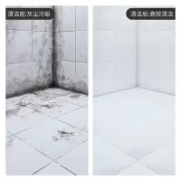 膜太(MOOTAA) 葡萄牙原装进口瓷砖清洁剂 1000ml