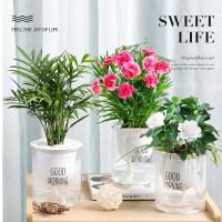 欧斯若(OUSSIRRO)春季绿植惊喜组合套装 袖珍椰子 康乃馨 栀子花盆栽 懒人植物 简单易养活