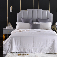 Smlie-天然蚕丝被系列-布莱德蚕丝被(SZYD)