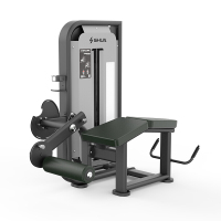 SH-G6812 大腿屈伸训练器