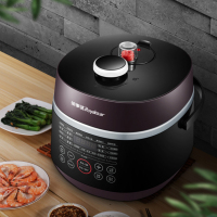 荣事达(Royalstar) 50-90A117 电脑状元锅