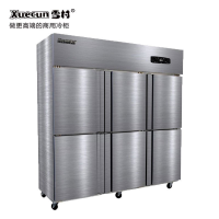 雪村(Xuecun) 商用冷柜 1250L 全冷冻立式冰箱 六门厨房柜 冰柜 冷柜 单位:台