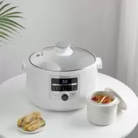 伊莱克斯(ELECTROLUX) EGSC-2110 微电脑隔水电炖锅(单位:台)