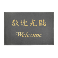 迎宾地毯加厚90*120