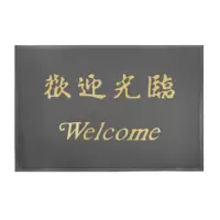 迎宾地毯加厚90*120