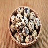 [江苏乡村振兴][财政集采][丰县]汉之尚 鹌鹑蛋100个